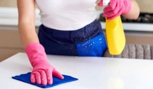 empleada domestica