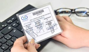 certificado discapacidad