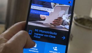 monotributo