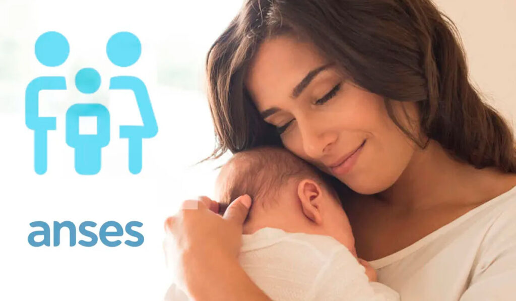 anses 15